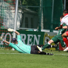 Dornb_ - Seek_  2012 096.jpg