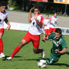 Dornb_ - Seek_  2012 418.jpg
