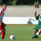 Dornb_ - Seek_  2012 535.jpg