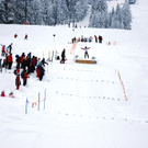 Gugelhupfspringen 2010