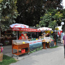 normal_11082012lichterfestat02007aktivnews032.jpg