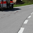 normal_12082012vude05009aktivnews-8.jpg