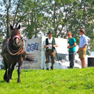 BK_Fuhrmannstage2012 3_jpg-1344797771