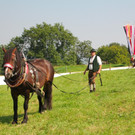 BK_Fuhrmannstage2012 4_jpg-1344797779