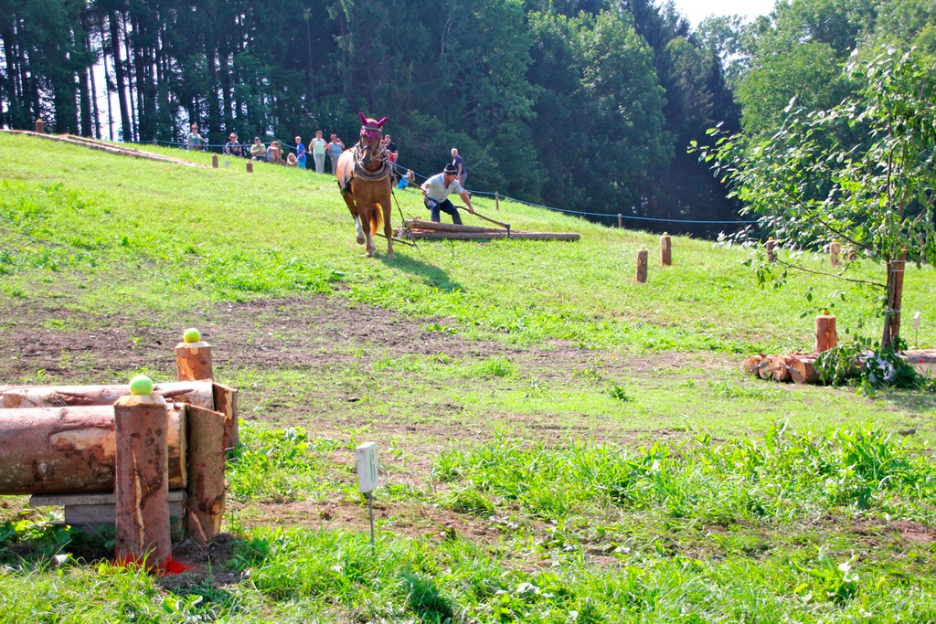 BK_Fuhrmannstage2012 24_jpg-1344797945