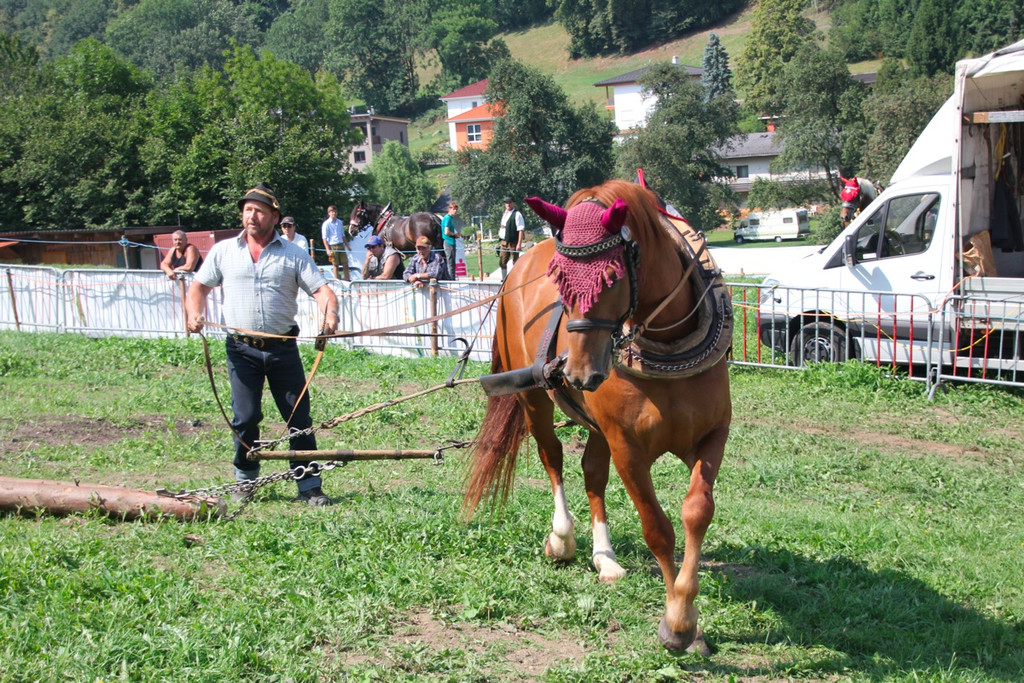 BK_Fuhrmannstage2012 28_jpg-1344797983