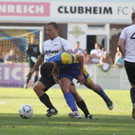 Wolf_ - Hoechst  2012 043.jpg