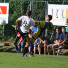 Wolf_ - Hoechst  2012 079.jpg