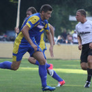 Wolf_ - Hoechst  2012 125.jpg