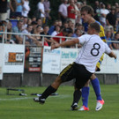 Wolf_ - Hoechst  2012 133.jpg