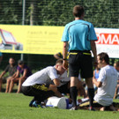 Wolf_ - Hoechst  2012 173.jpg