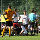 Wolf_ - Hoechst  2012 178.jpg
