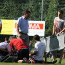 Wolf_ - Hoechst  2012 180.jpg