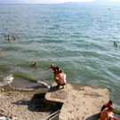 BK_Lindau0812 13_jpg-1344800358