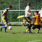 Wolf_ - Hoechst  2012 055.jpg
