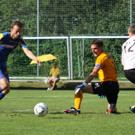 Wolf_ - Hoechst  2012 057.jpg