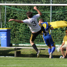 Wolf_ - Hoechst  2012 113.jpg
