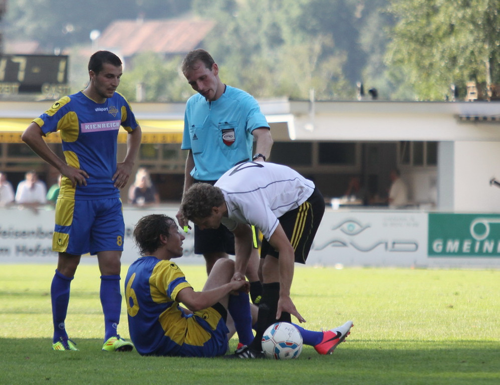 Wolf_ - Hoechst  2012 188.jpg