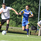 Wolf_ - Hoechst  2012 200.jpg