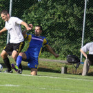Wolf_ - Hoechst  2012 202.jpg