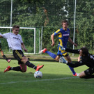 Wolf_ - Hoechst  2012 225.jpg