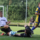 Wolf_ - Hoechst  2012 226.jpg