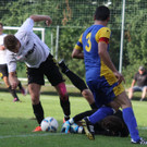 Wolf_ - Hoechst  2012 230.jpg