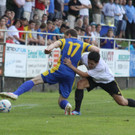 Wolf_ - Hoechst  2012 253.jpg