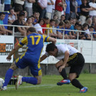 Wolf_ - Hoechst  2012 255.jpg