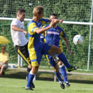 Wolf_ - Hoechst  2012 282.jpg