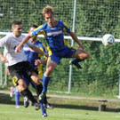Wolf_ - Hoechst  2012 283.jpg
