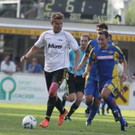 Wolf_ - Hoechst  2012 286.jpg