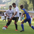 Wolf_ - Hoechst  2012 291.jpg