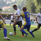 Wolf_ - Hoechst  2012 293.jpg