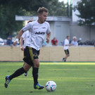 Wolf_ - Hoechst  2012 296.jpg