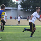 Wolf_ - Hoechst  2012 298.jpg