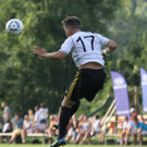 Wolf_ - Hoechst  2012 354.jpg