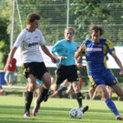Wolf_ - Hoechst  2012 400.jpg