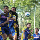 Wolf_ - Hoechst  2012 405.jpg