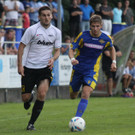Wolf_ - Hoechst  2012 439.jpg