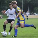 Wolf_ - Hoechst  2012 443.jpg