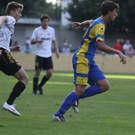 Wolf_ - Hoechst  2012 447.jpg