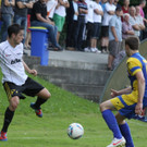 Wolf_ - Hoechst  2012 453.jpg