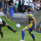Wolf_ - Hoechst  2012 454.jpg