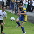 Wolf_ - Hoechst  2012 457.jpg