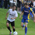Wolf_ - Hoechst  2012 458.jpg