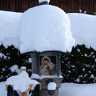 DSC06702.JPG