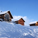 DSC06708.JPG