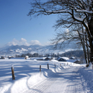 DSC06715.JPG