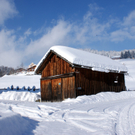 DSC06728.JPG